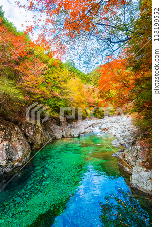 阿加尼亞山谷在秋天 118199552