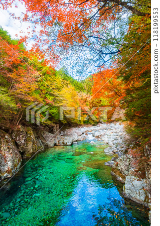 阿加尼亞山谷在秋天 118199553