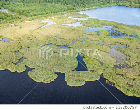 Aerial view of lake or river green shore with forest. Summer season. Aerial view of lake or river green shore with forest. Summer season. 118200757