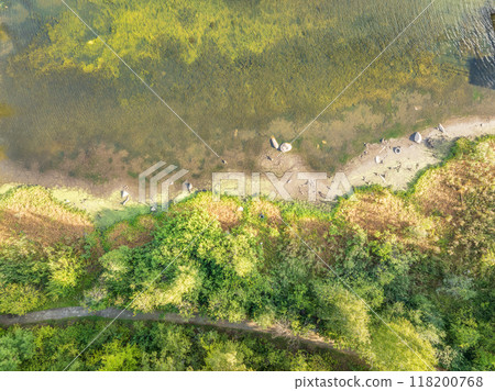 Aerial view of lake or river green shore with forest. Summer season. Aerial view of lake or river green shore with forest. Summer season. 118200768