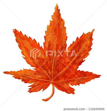 秋天的紅葉 118200998