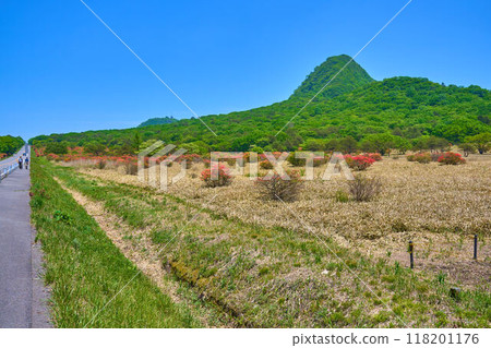 春天從群馬縣高崎市春小町的須戶附近的旋律線向東北側(八瀨根山口方向) 春天從群馬縣高崎市春小町的須戶附近的旋律線向東北側(八瀨根山口方向) 118201176