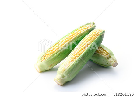 Corn (white background) 118201189