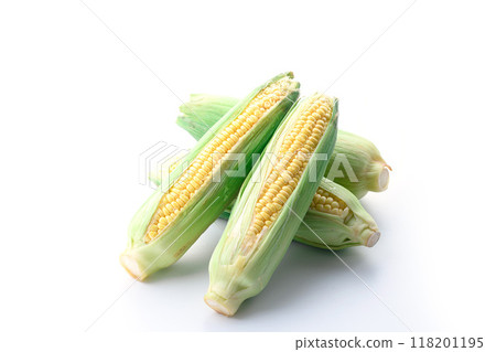 Corn (white background) 118201195