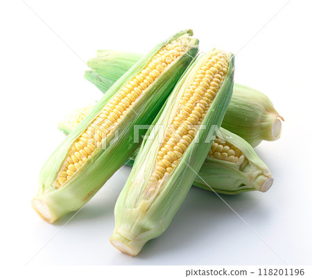 Corn (white background) 118201196