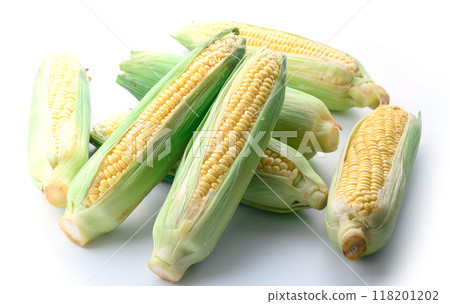 Corn (white background) Corn (white background) 118201202
