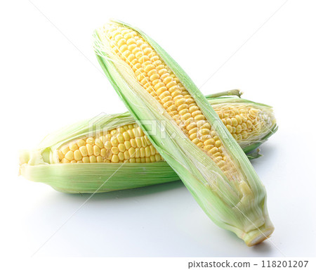 Corn (white background) 118201207