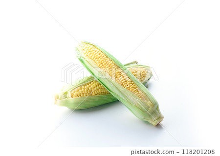 Corn (white background) 118201208