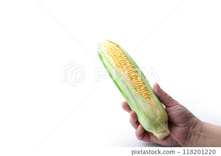 Corn (white background) Corn (white background) 118201220