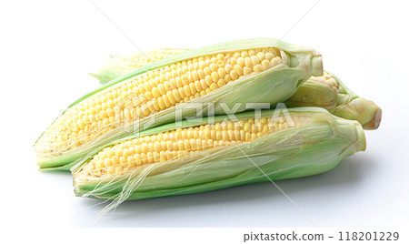 玉米（白色背景） 118201229