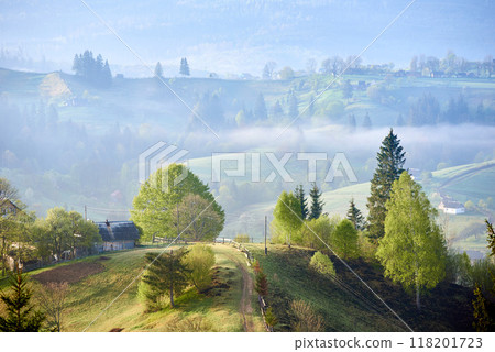 Serene countryside morning with mist rolling over gentle hills. Sunlight filters through, highlighting cozy farmhouse surrounded by lush trees. Scattered homes and winding paths, mist-covered valleys. Serene countryside morning with mist rolling over gentle hills. Sunlight filters through, highlighting cozy farmhouse surrounded by lush trees. Scattered homes and winding paths, mist-covered valleys. 118201723