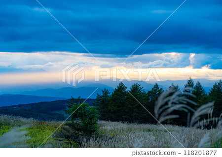 [Mt. Fuji] Mt. Fuji in the evening as seen from Kirigamine Fujimidai on a cloudy day [Nagano Prefecture] 118201877