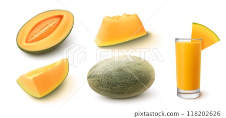 3d realistic sweet cantaloupe melon fruit vector 118202626