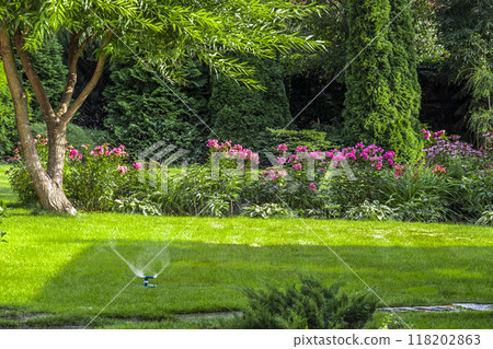 Backyard design elements 118202863