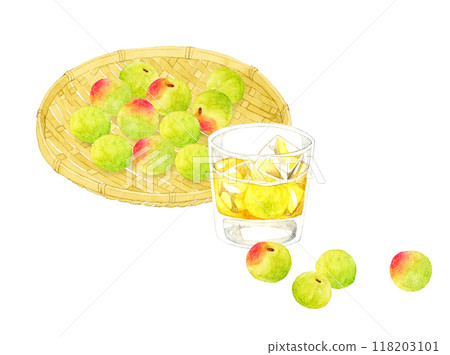 一組冰上梅酒和杯中青梅,手繪水彩插畫素材 一組冰上梅酒和杯中青梅,手繪水彩插畫素材 118203101