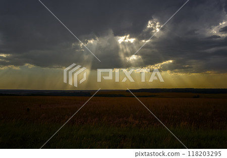 The lights of a sun 118203295