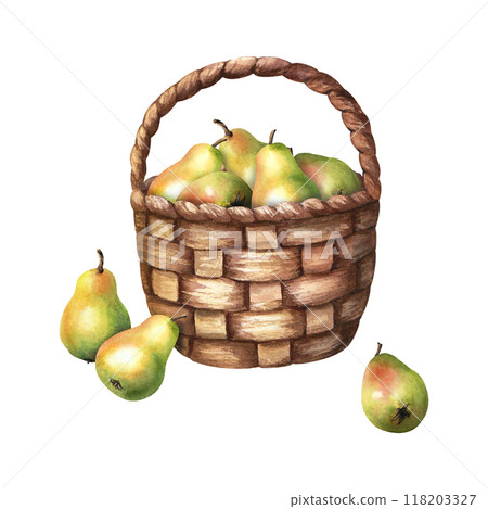 Watercolor wicker basket filled with fresh juicy pear fruits. Hand drawn watercolor illustration isolated on white background. For clip art cards invitation label package 118203327