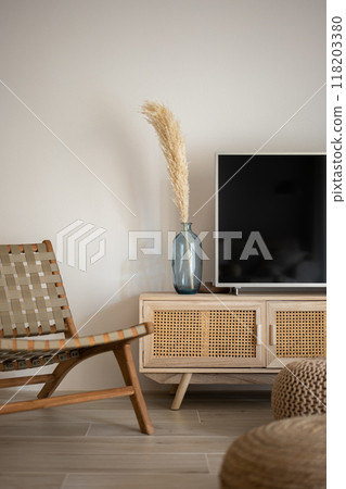 A Modern Living Room that Features Natural Decor Alongside Elegant and Stylish Furniture 118203380