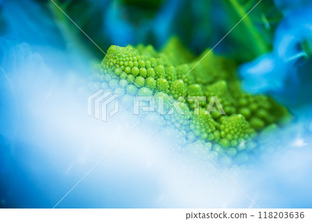 Romanesco Romanesco 118203636