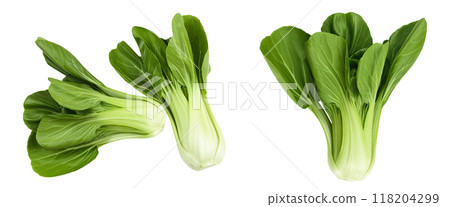 Fresh pak choi cabbage isolated on white background. Top view. Flat lay 118204299