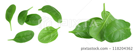 Baby spinach leaves isolated on white background. Top view. Flat lay Baby spinach leaves isolated on white background. Top view. Flat lay 118204362