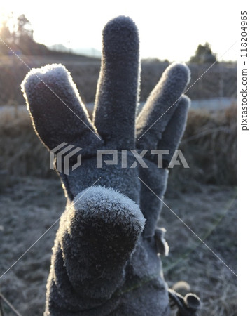 Frost-covered gloves on a winter morning Frost-covered gloves on a winter morning 118204965