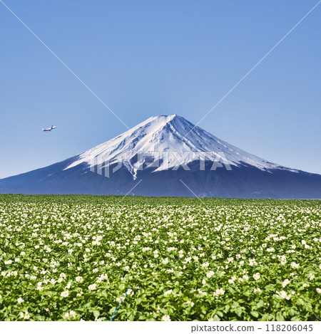 Rural scenery of Hokkaido and Mt. Fuji composition 118206045