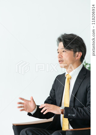 Interview with a businessman Interview with a businessman 118206914