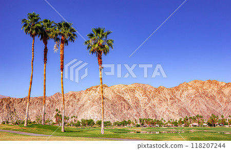 golf course, Palm Springs, California 118207244