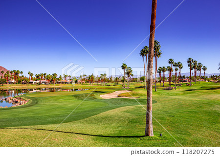 golf course, Palm Springs, California golf course, Palm Springs, California 118207275