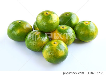 Mandarin orange (Ninan No. 1) 118207735