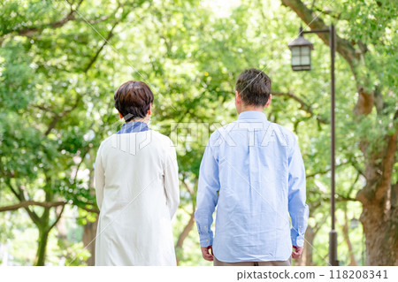 Senior couple taking a walk, back view 118208341