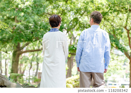 Senior couple taking a walk, back view 118208342