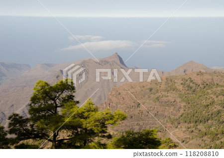 Integral Natural Reserve of Inagua and Aslobas Mountain. Integral Natural Reserve of Inagua and Aslobas Mountain. 118208810