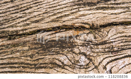 Wood Textured Background 118208836