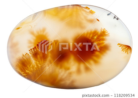 Macro mineral stone Moss Agate, Agate muschiataan white Macro mineral stone Moss Agate, Agate muschiataan white 118209534