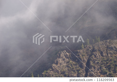 Landscape in the fog. 118209563