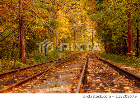 Autumn forest through which an old tram rides (Ukraine) 118209579