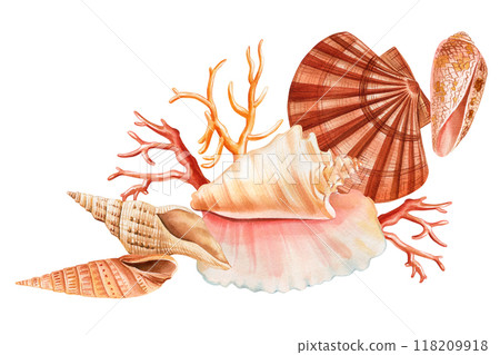 Watercolor Seashells, coral, fish isolated . Summer vacation poster design, tropical beach shells, marine life clipart 118209918