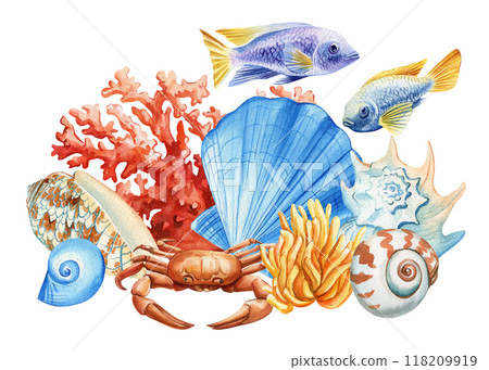 Watercolor Seashells, coral, fish isolated . Summer vacation poster design, tropical beach shells, marine life clipart 118209919