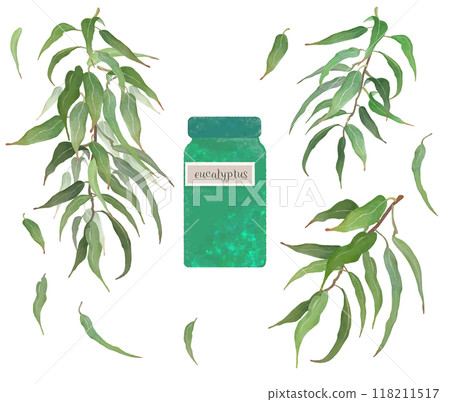 Aromatherapy, essential oil, essential oil bottle and eucalyptus illustration 118211517