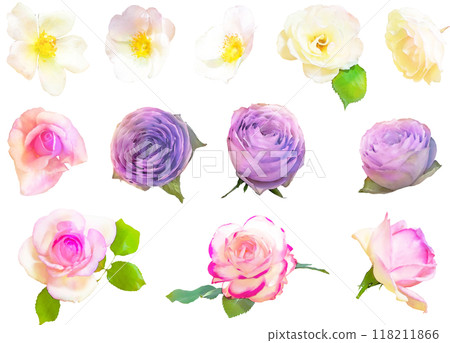 玫瑰插畫素材套裝1 玫瑰插畫素材套裝1 118211866