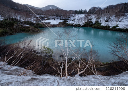 池塘周圍有雪 118211908