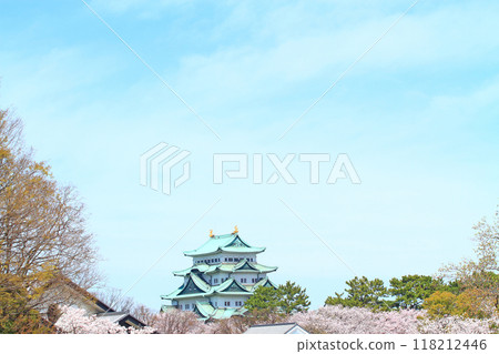 Scenery of cherry blossoms in full bloom and Nagoya Castle, Nagoya City, Aichi Prefecture Scenery of cherry blossoms in full bloom and Nagoya Castle, Nagoya City, Aichi Prefecture 118212446