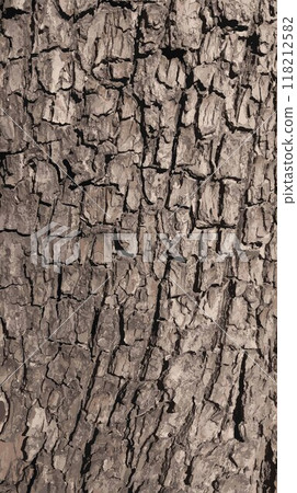 Tree bark texture, brown. Vector. 118212582