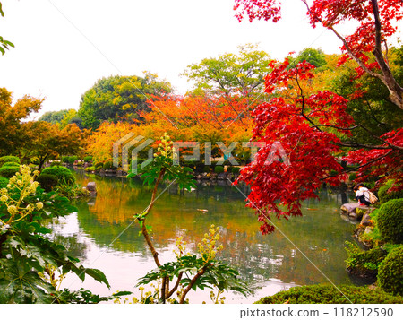 京都-東寺風景與親子 京都-東寺風景與親子 118212590