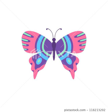 Cute butterfly. Decorative spring butterfly colorful wings. Monarch, moth and dragonfly. Tropical beautiful floral insect flat vector icon. Spring monarch and butterfly, insect animal illustration 118213202