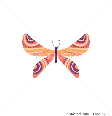 Cute butterfly. Decorative spring butterfly colorful wings. Monarch, moth and dragonfly. Tropical beautiful floral insect flat vector icon. Spring monarch and butterfly, insect animal illustration Cute butterfly. Decorative spring butterfly colorful wings. Monarch, moth and dragonfly. Tropical beautiful floral insect flat vector icon. Spring monarch and butterfly, insect animal illustration 118213209