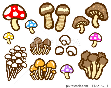 A set of doodle-style illustrations of various kinds of autumn mushrooms 118213291
