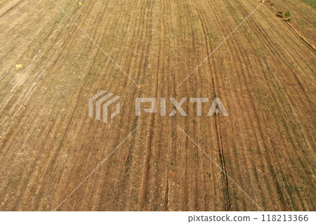 Aerial view of autumn harvesting agricultural field 118213366